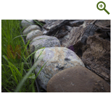 Благоустройство дачного участка