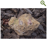 Благоустройство дачного участка