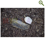 Благоустройство дачного участка