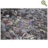 Благоустройство дачного участка