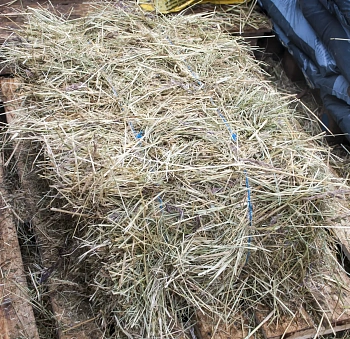 Сено луговое, тюк