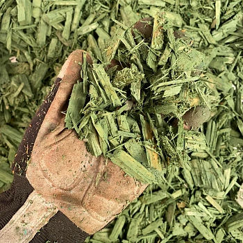 Щепа декоративная, зеленая, 60 л