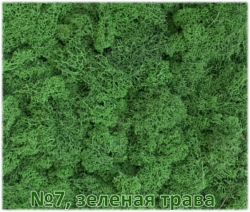 Мох стабилизированный №1 зеленая ель, 30*40 см, пак