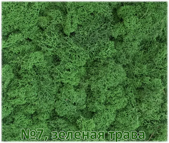 Мох стабилизированный №1 зеленая ель, 30*40 см, пак
