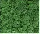Мох стабилизированный №1 зеленая ель, 30*40 см, пак