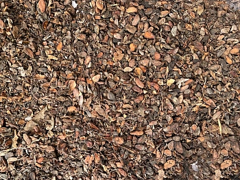 Скорлупа какао бобов(какао-велла), ~10 кг