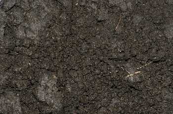 Торф верховой,  60 л