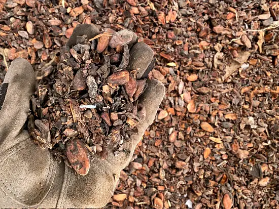 Скорлупа какао бобов(какао-велла), ~10 кг