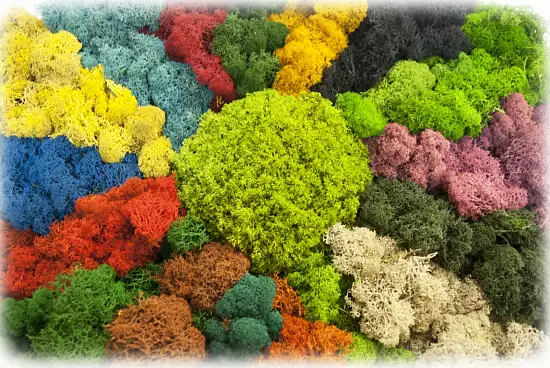 Мох стабилизированный №1 зеленая ель, 30*40 см, пак
