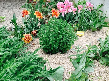 Костра конопляная, мелкая 0-3 см, малый брикет 40 л