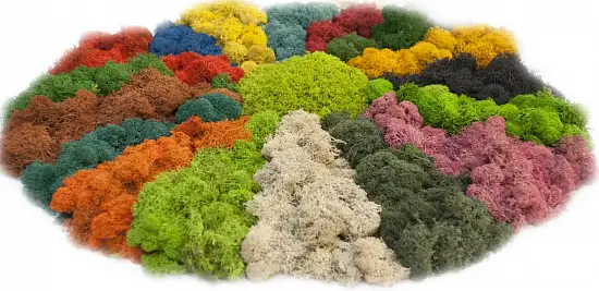 Мох стабилизированный №1 зеленая ель, 30*40 см, пак