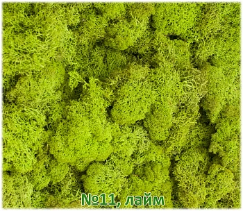 Мох стабилизированный №1 зеленая ель, 30*40 см, пак