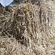Солома золотистая, тюк