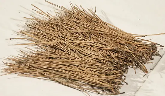 Иголки сосновые, 60 л