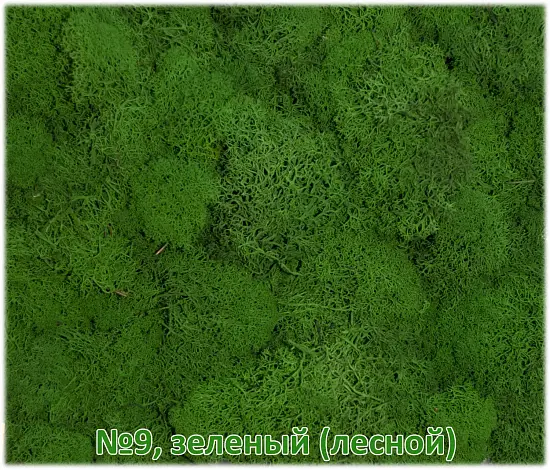 Мох стабилизированный №1 зеленая ель, 30*40 см, пак