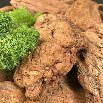 Кора лиственницы Крупная Галтованная поштучно, кг