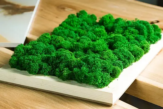 Мох стабилизированный №1 зеленая ель, 30*40 см, пак