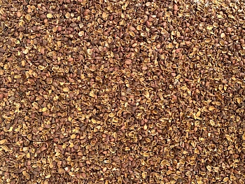 Скорлупа кедрового ореха, 90 л