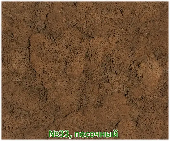 Мох стабилизированный №1 зеленая ель, 30*40 см, пак