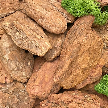 Кора лиственницы Крупная Галтованная поштучно, кг