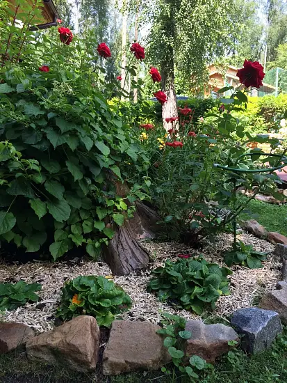 Костра конопляная, мелкая 0-3 см, малый брикет 40 л