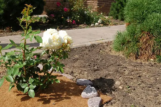 Nekura Укрытие кокосовое "Мульчаграм", 1  x  5 м, рул