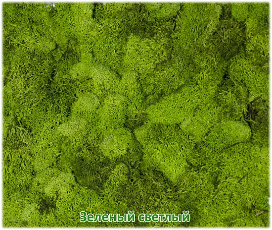 Мох стабилизированный №1 зеленая ель, 30*40 см, пак