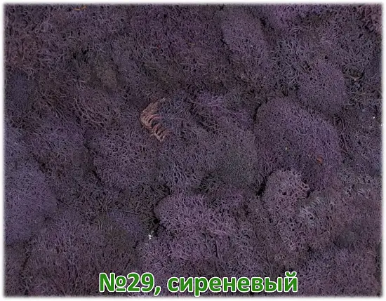 Мох стабилизированный №1 зеленая ель, 30*40 см, пак