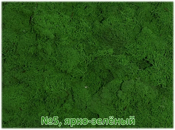 Мох стабилизированный №1 зеленая ель, 30*40 см, пак