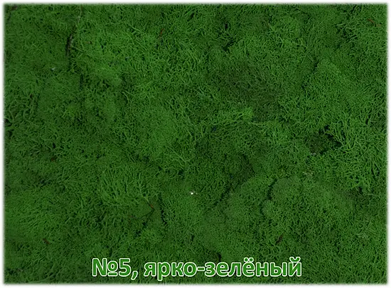 Мох стабилизированный №1 зеленая ель, 30*40 см, пак