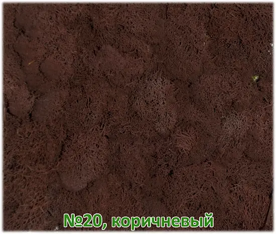 Мох стабилизированный №1 зеленая ель, 30*40 см, пак