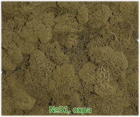 Мох стабилизированный №1 зеленая ель, 30*40 см, пак