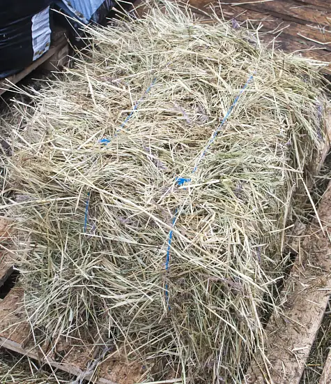 Сено луговое, тюк