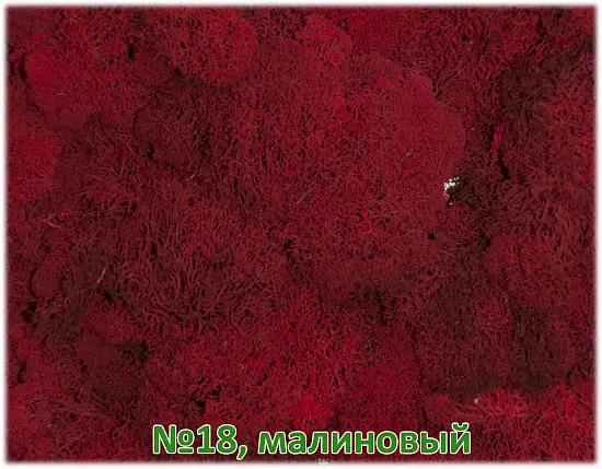 Мох стабилизированный №1 зеленая ель, 30*40 см, пак