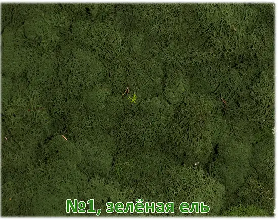Мох стабилизированный №1 зеленая ель, 30*40 см, пак
