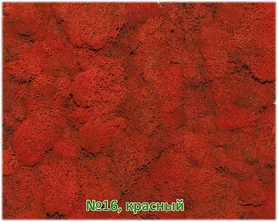 Мох стабилизированный №1 зеленая ель, 30*40 см, пак