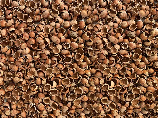 Скорлупа фундука (лесного ореха, лещины), 60 л