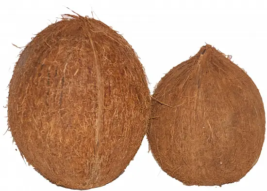 Кокос целый малый с отверстием, шт