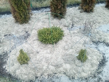 Костра льняная в брикетах, 18-22 кг