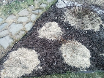 Костра льняная в брикетах, 18-22 кг