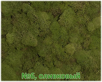 Мох стабилизированный №1 зеленая ель, 30*40 см, пак