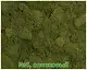 Мох стабилизированный №1 зеленая ель, 30*40 см, пак