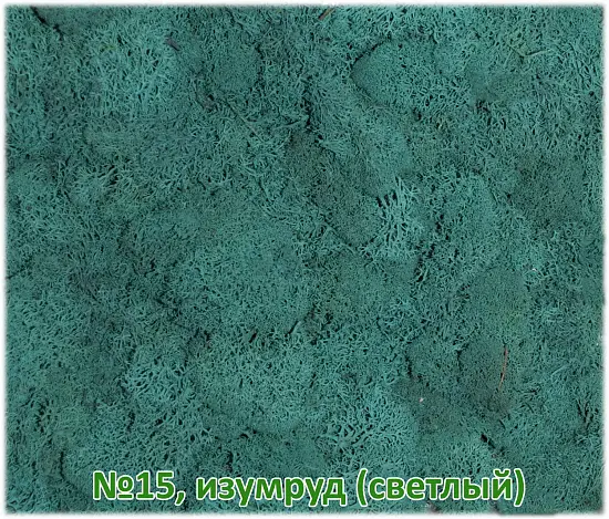 Мох стабилизированный №1 зеленая ель, 30*40 см, пак