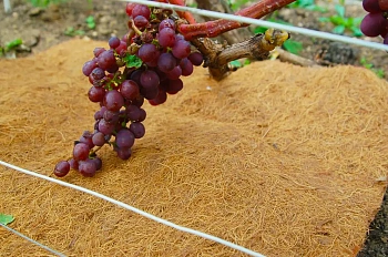 Nekura Укрытие кокосовое "Мульчаграм", 1  x  3 м, рул