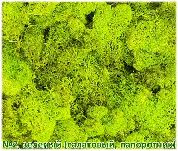 Мох стабилизированный №1 зеленая ель, 30*40 см, пак