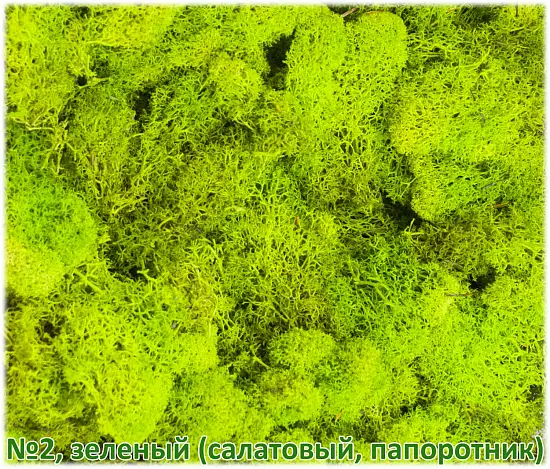 Мох стабилизированный №1 зеленая ель, 30*40 см, пак