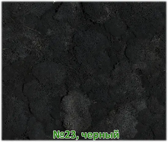 Мох стабилизированный №1 зеленая ель, 30*40 см, пак