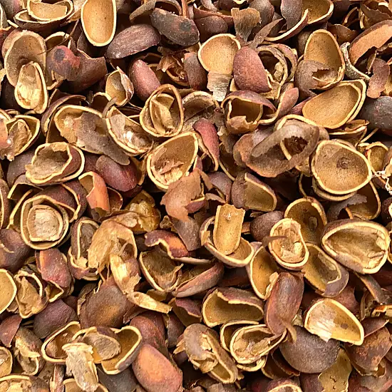 Скорлупа кедрового ореха, 60 л