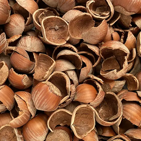 Скорлупа фундука (лесного ореха, лещины), 60 л