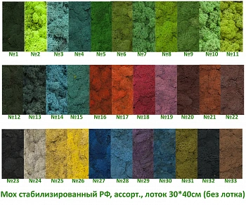 Мох стабилизированный №1 зеленая ель, 30*40 см, пак